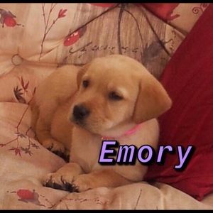 Meet your Posher, Emory